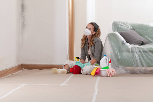 Reliable Mold Remediation contractor in Grand Rapids, MI by WQB Mold Removal